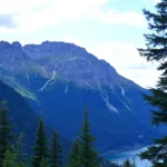 ein dekorateur erklärt die gründe für die hohen kosten moderner adventsgestecke und gibt einblicke in materialien, verarbeitung und trends.