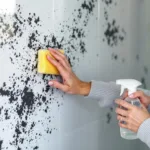 entdecken sie, warum diese zwei einfachen zutaten effektiv schimmel von duschwänden entfernen und ihr badezimmer sauber und frisch halten.